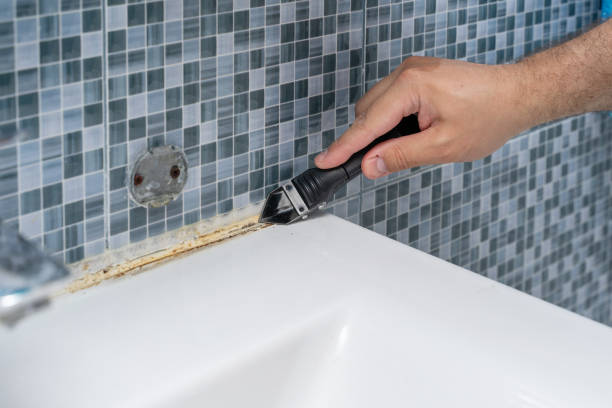 Best Mold Remediation  in Viera West, FL
