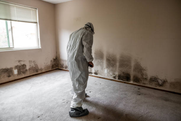 Best Crawl Space Mold Removal  in Viera West, FL